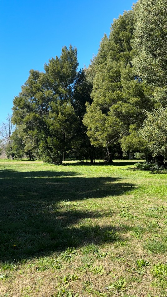 Lotes de Terrenos en venta en Madariaga