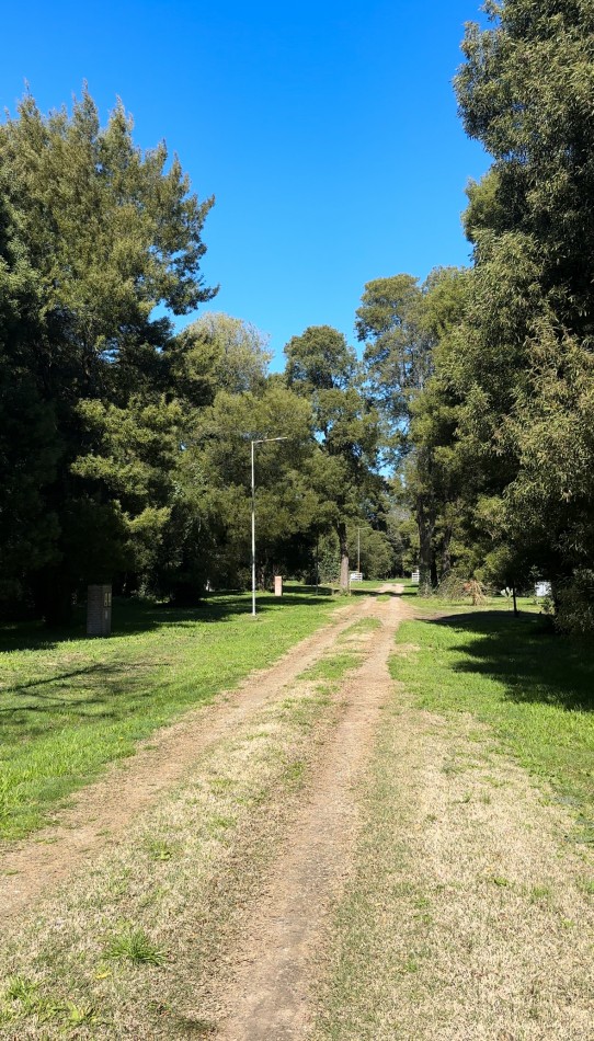 Lotes de Terrenos en venta en Madariaga