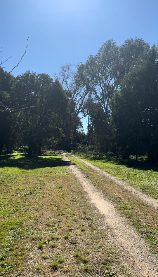 Lotes de Terrenos en venta en Madariaga