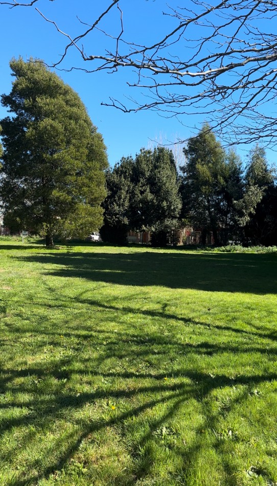 Lotes de Terrenos en venta en Madariaga