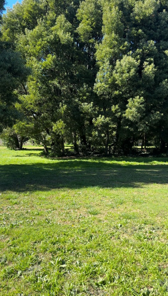 Lotes de Terrenos en venta en Madariaga