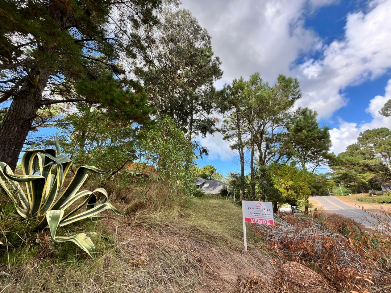 LOTE de excelente ubicacion sobre Bathurst