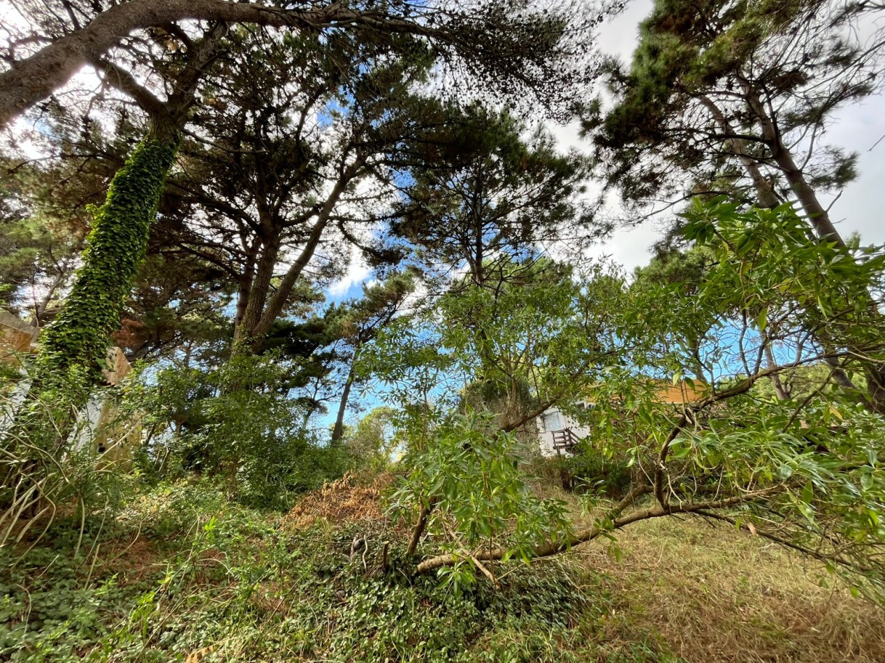 LOTE de excelente ubicacion sobre Bathurst