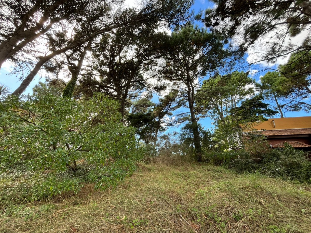 LOTE de excelente ubicacion sobre Bathurst