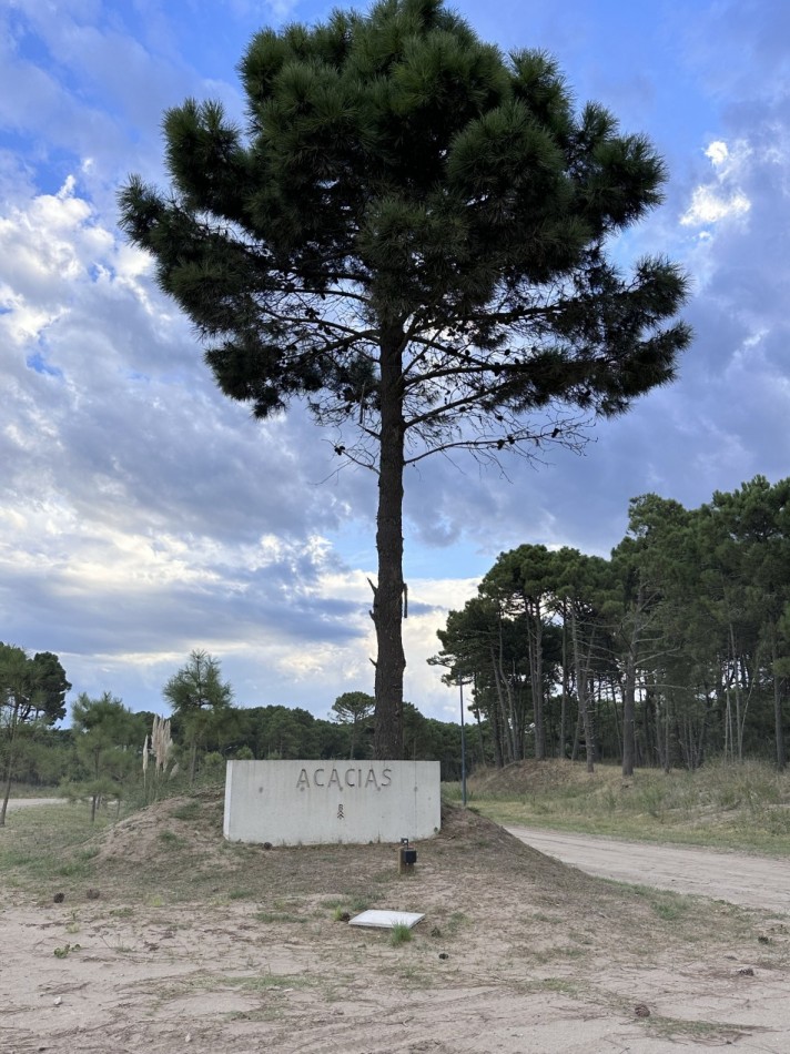 Lote en venta en bosques