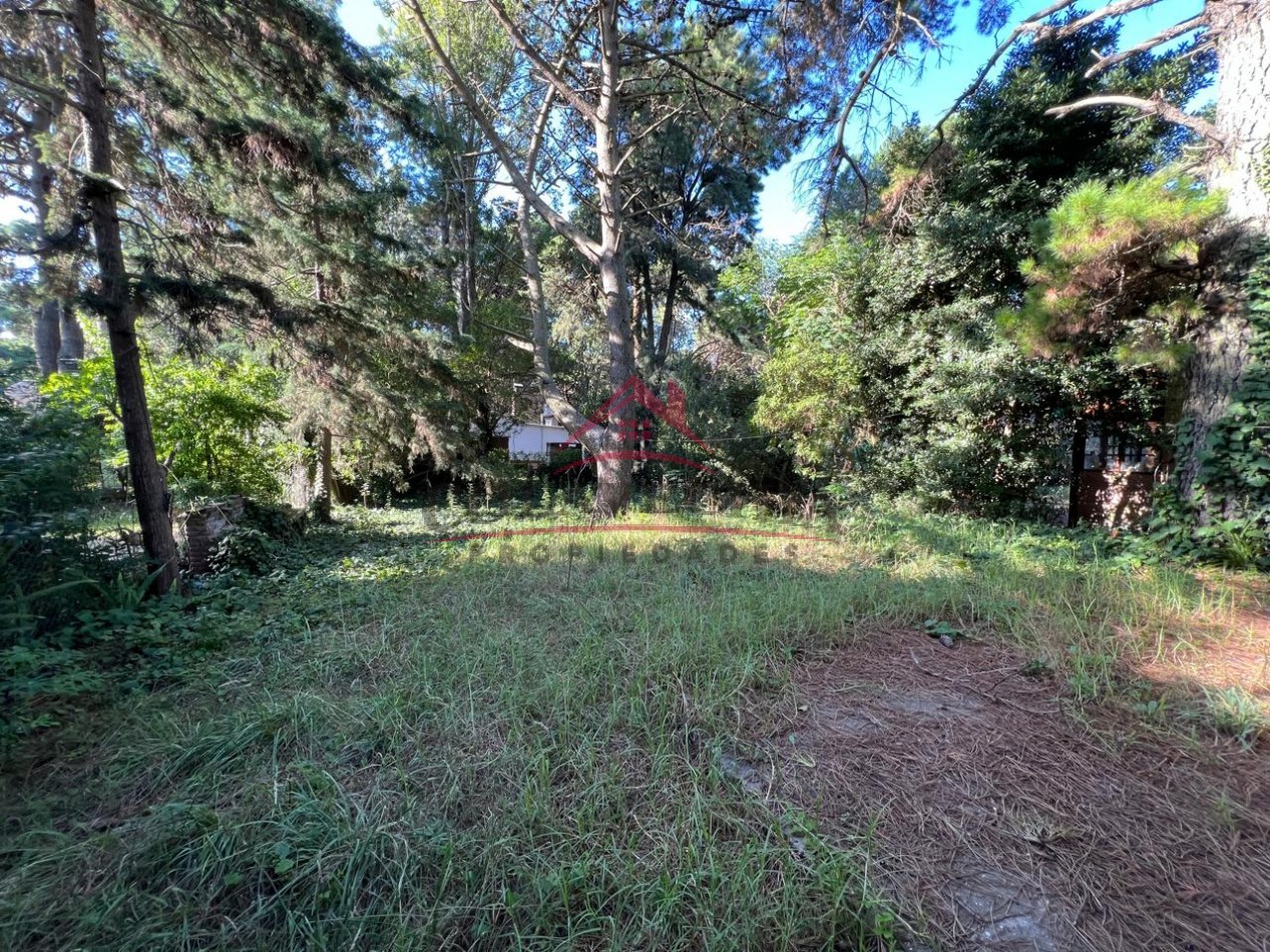 Casa El Cano - a reciclar 