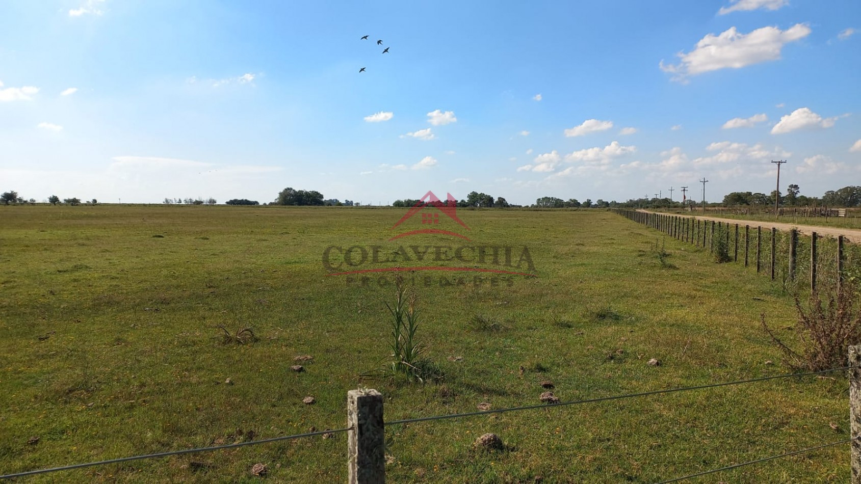 Venta de Campo-Chacra 12,5 Hectareas en Gral.Guido 