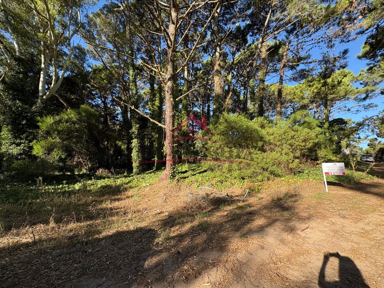 EN VENTA LOTE EN VALERIA DEL MAR