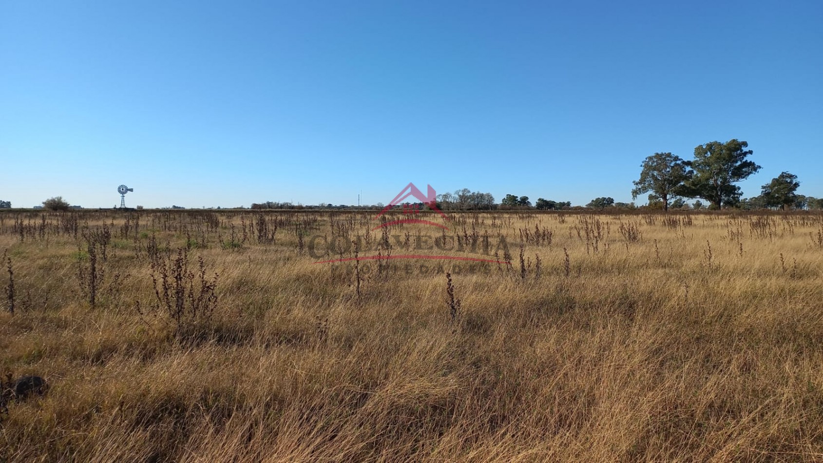 Venta de Campo-Chacra 12,5 Hectareas en Gral.Guido 