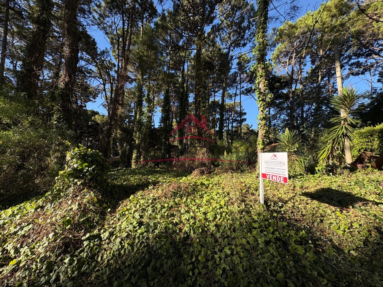 EN VENTA LOTE EN VALERIA DEL MAR