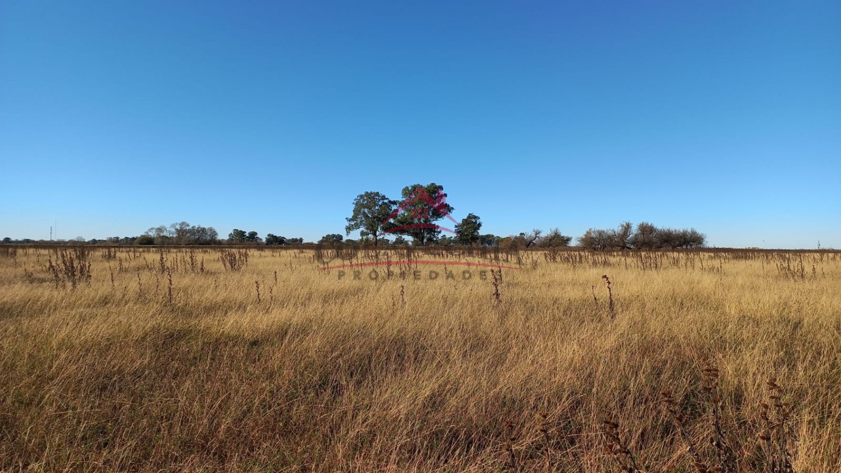 Venta de Campo-Chacra 12,5 Hectareas en Gral.Guido 