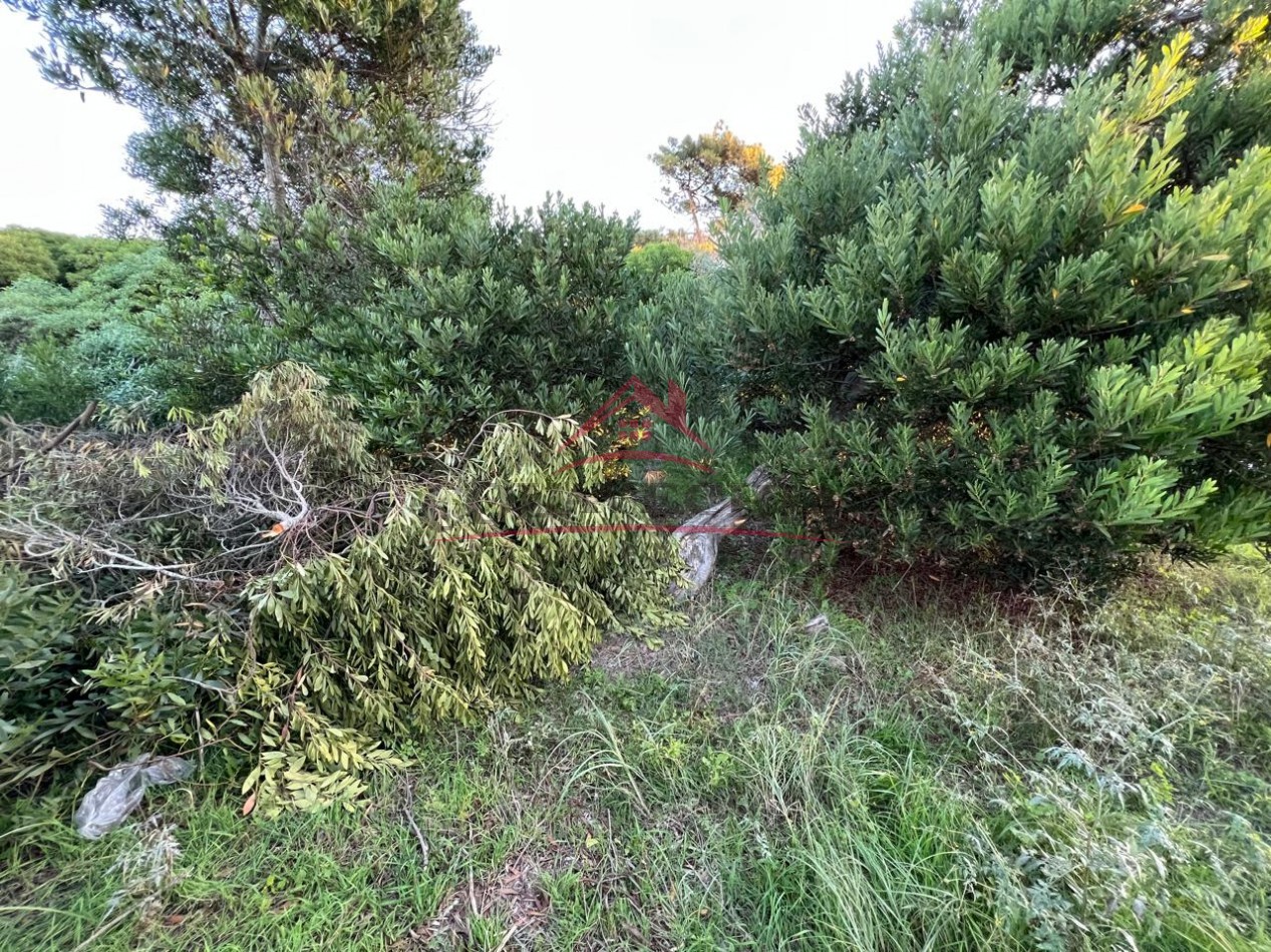 VENTA de LOTE  en Villa Gesell