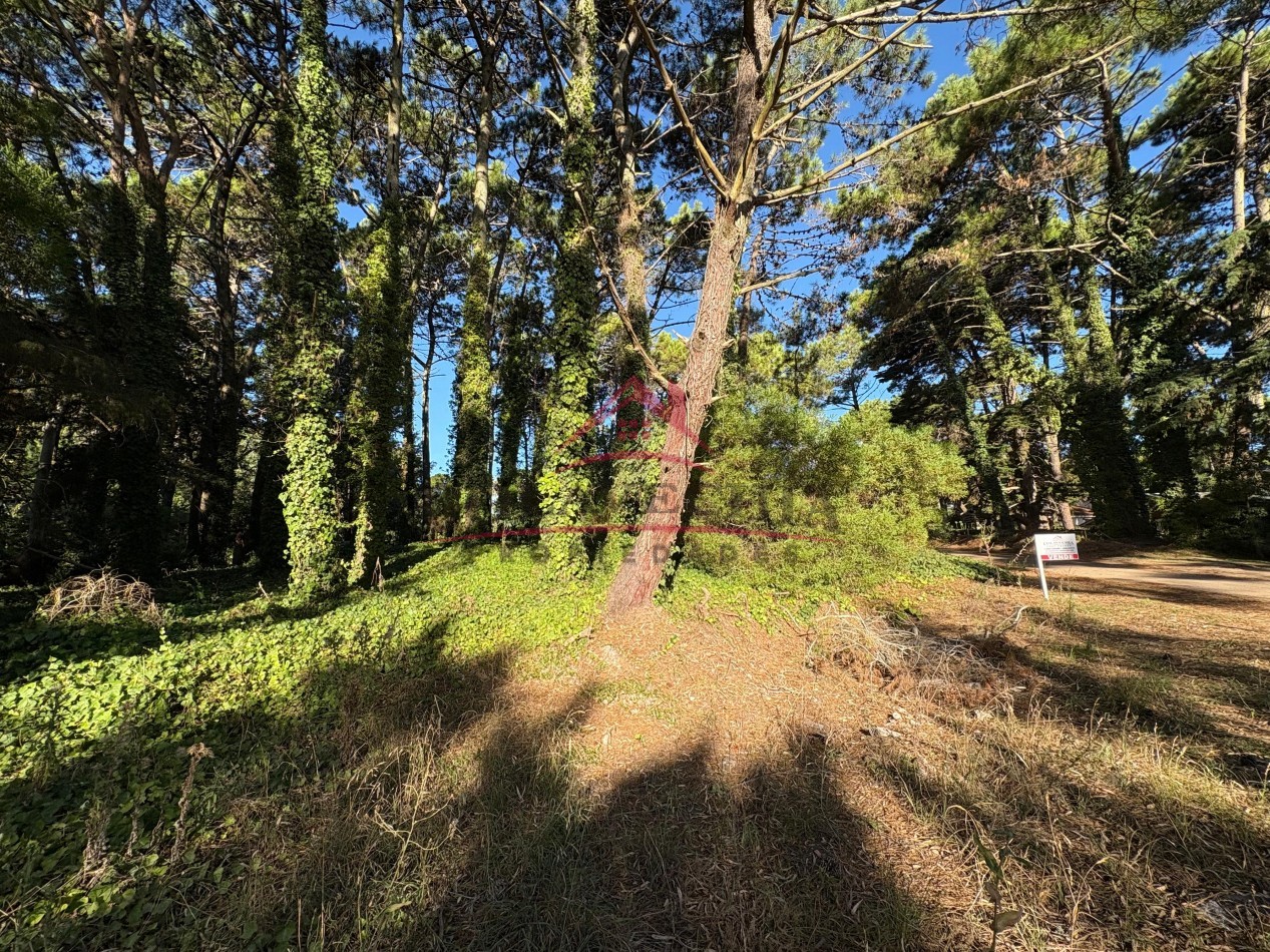 EN VENTA LOTE EN VALERIA DEL MAR