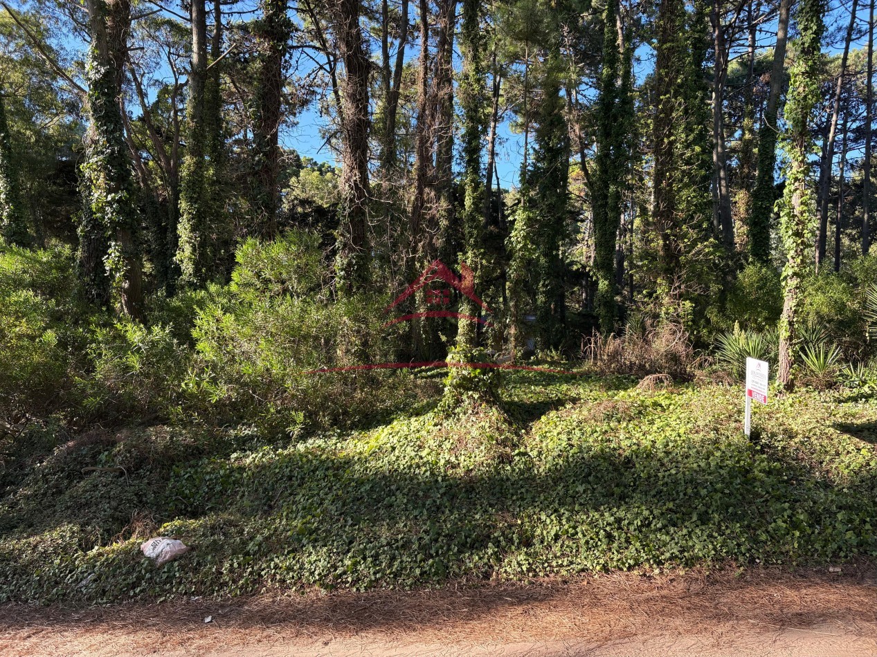 EN VENTA LOTE EN VALERIA DEL MAR