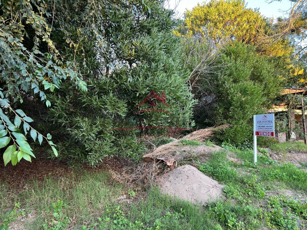 VENTA de LOTE  en Villa Gesell