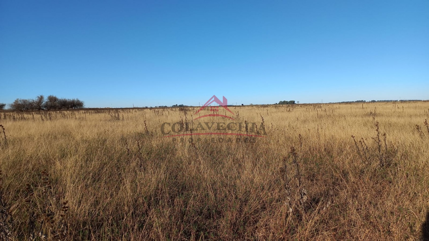 Venta de Campo-Chacra 12,5 Hectareas en Gral.Guido 