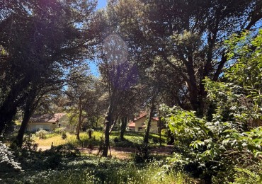 Venta LOTE en Valeria del Mar