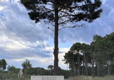 Lote en venta en bosques