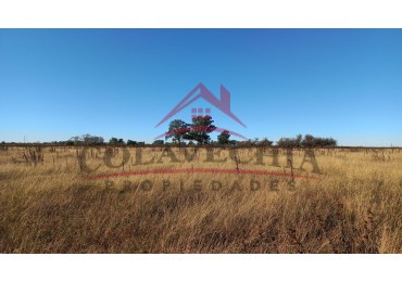 Venta de Campo-Chacra 12,5 Hectareas en Gral.Guido 