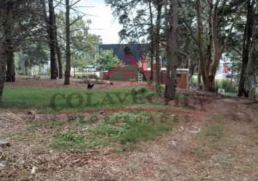 2 Lotes en oportunidad Colon casi esq. Arcachon - 542 m2 y 429 m2.